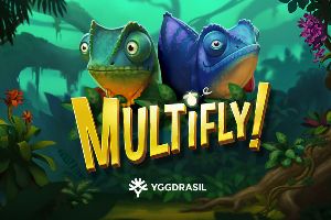 Multifly